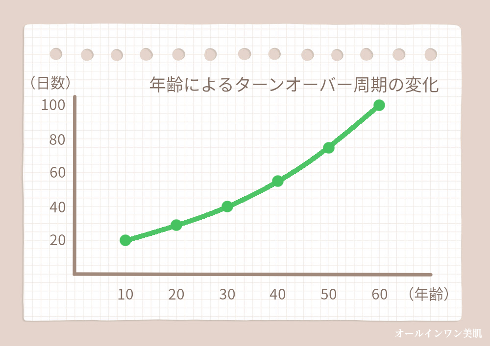 年齢によるターンオーバーの周期変化